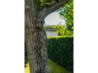 Huis te koop - Afsnee RBT25442