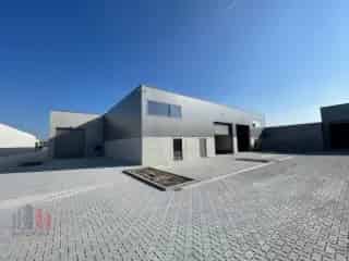 KMO Unit te Koop Oostende 225m² Nieuwbouw