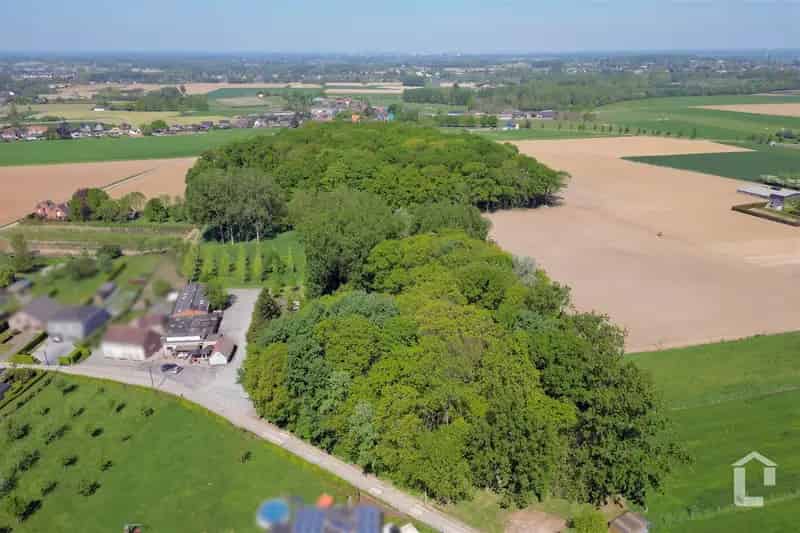 Prachtig terrein voor ruime woning met grote tuin