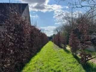 Bouwgrond te koop - Overijse RBT11235