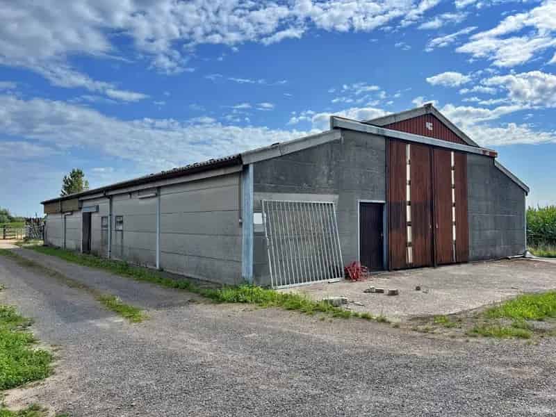 🏡 Te huur: Schuur/Stal/Opslagplaats – 365 m² – Lievegem + optioneel weide van circa 1 hectare groot