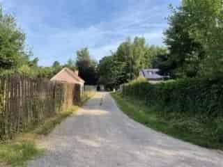 Landbouwgrond te koop - Stekene RBT15470