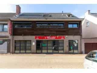 Handelspand te koop - Vosselaar RBT38444
