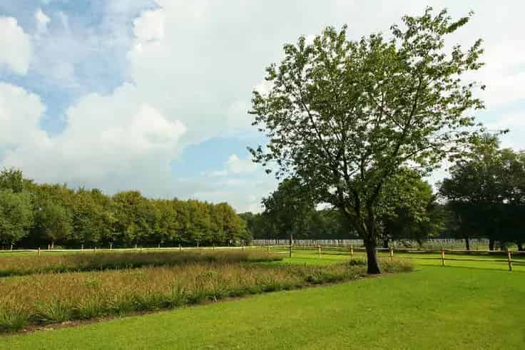Landhuis Te Koop