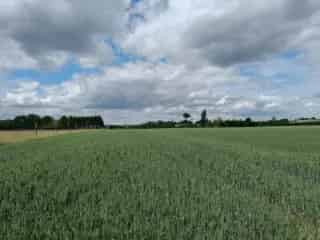Landbouwgrond te koop - Asse RWC38295