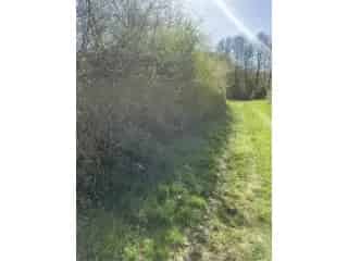 Bouwgrond te koop - Meldert RBT01179