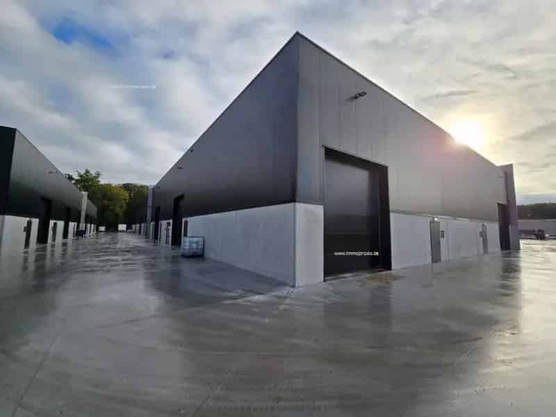 Nieuwbouw industrieel gebouw te huur in Buggenhout