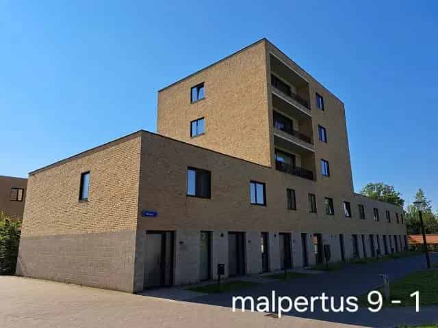 Malpertus 1-9
