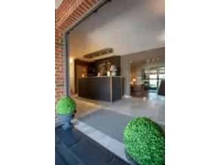 Handelspand te koop - Gosselies VBC72162
