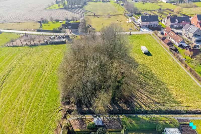 Bouwgrond in het groen nabij Schelderode dorp