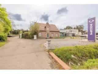 Handelspand te koop - Geel RBT29073