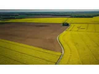 Landbouwgrond te koop - Chièvres VBB52785