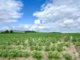Huis te Koop Sint Denijs - Bouwgrond met Open Zicht