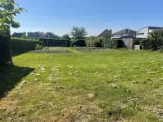 Bouwgrond te koop - Blaasveld RBT97464