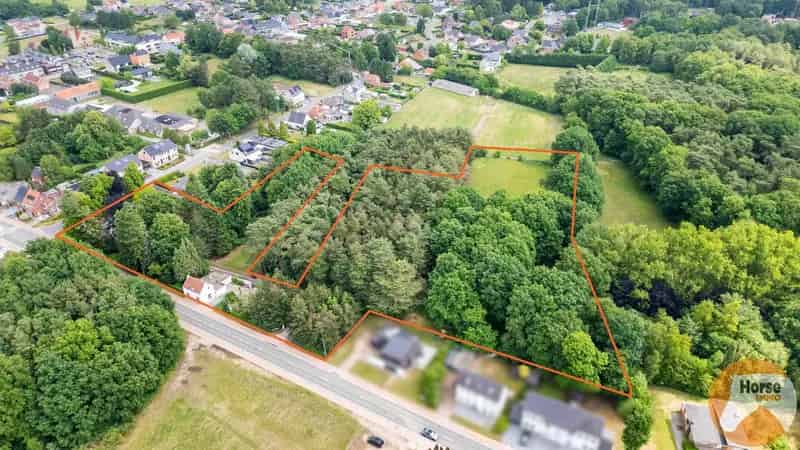 BERINGEN - Projectgrond