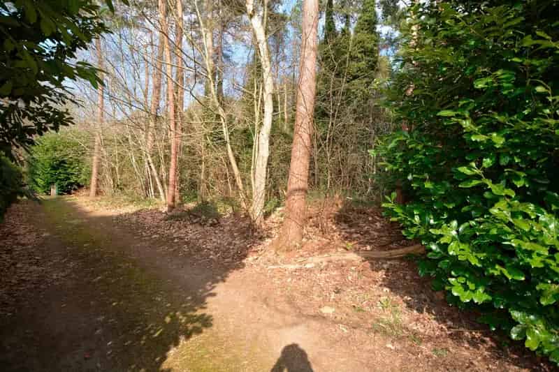 PERCEEL RECREATIEGROND VAN 1.118 m²