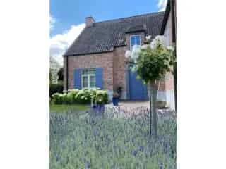 Villa te koop - Everbeek RBS99248
