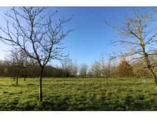 Landbouwgrond te koop - Opwijk RWC37821