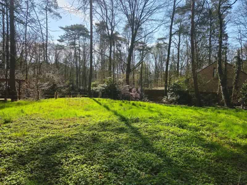 Bouwgrond in bosrijke omgeving
