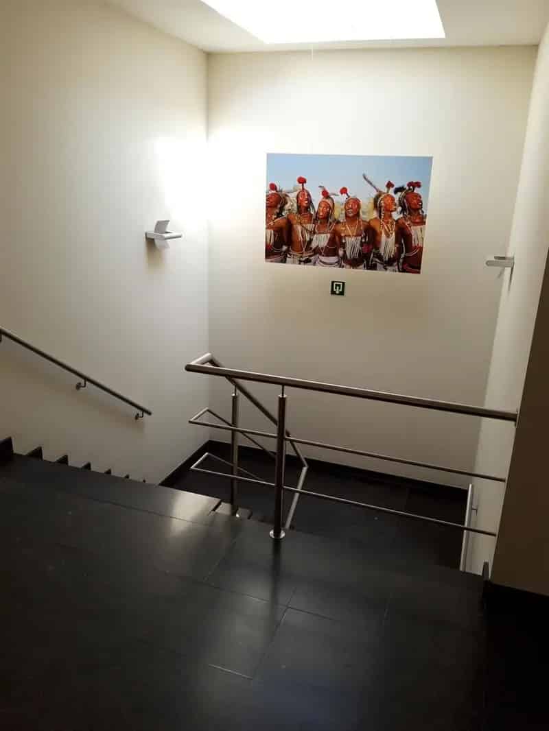 Magazijn, kantoren en toonzaal te huur in Aartselaar