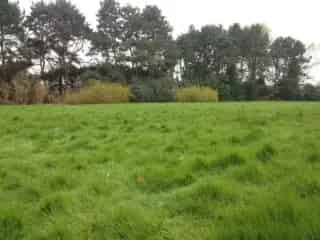 Bouwgrond te koop - Roeselare RBS68399