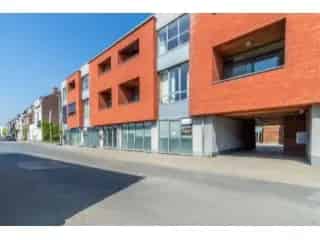 Handelspand te koop - Halle RBT32609