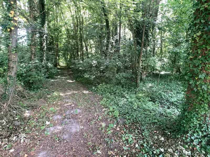 Bosgrond met vijver nabij centrum Hever.