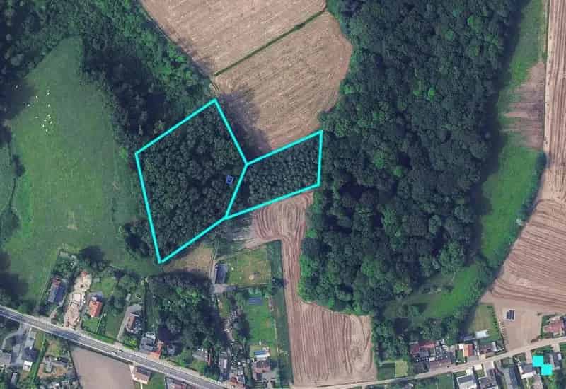 Uniek stuk bosgrond in Ronse