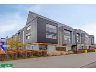 Penthouse te koop - Geel RBT86773