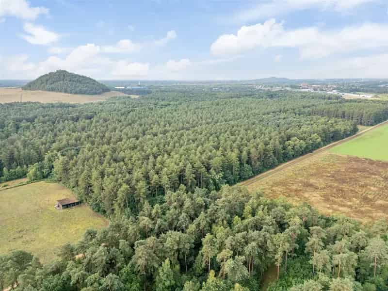 Bosgrond op Grote Heide in Oudsbergen
