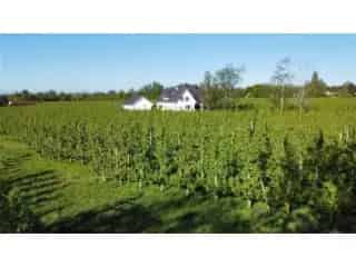 Villa te koop - Hasselt RBT67059