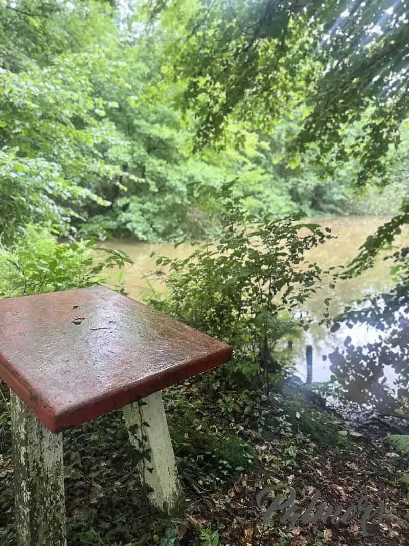 Comfort, ruimte èn ligging: instapklaar wonen in het groen.