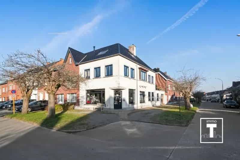 Handelspand te koop Zottegem