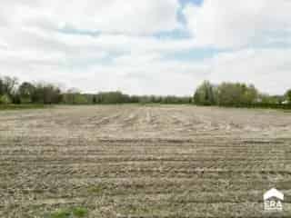 Bouwgrond te koop - Peer RBT69560