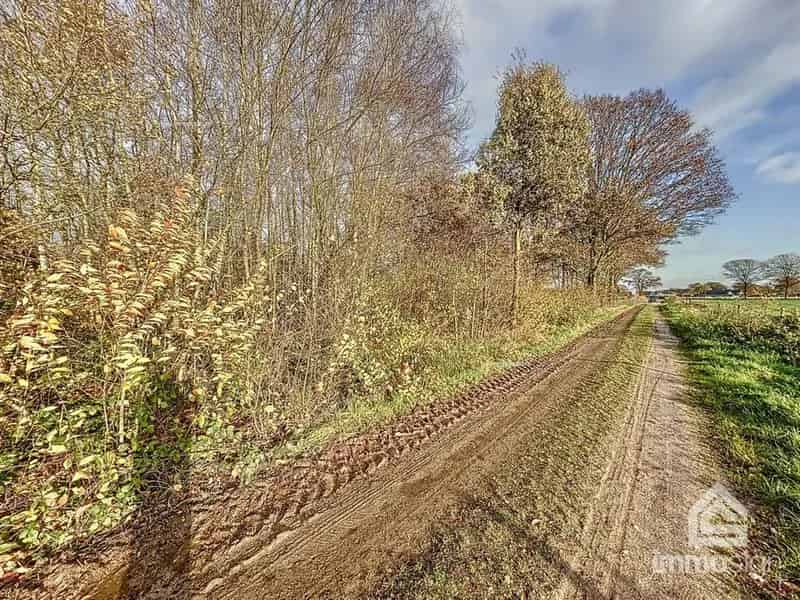 Bosgrond te koop Bocholt
