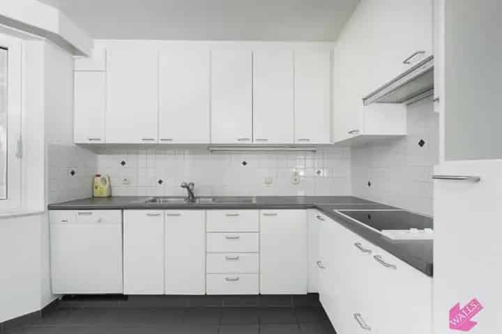 Ruim en lichtrijk appartement op het Zuid 8503334
