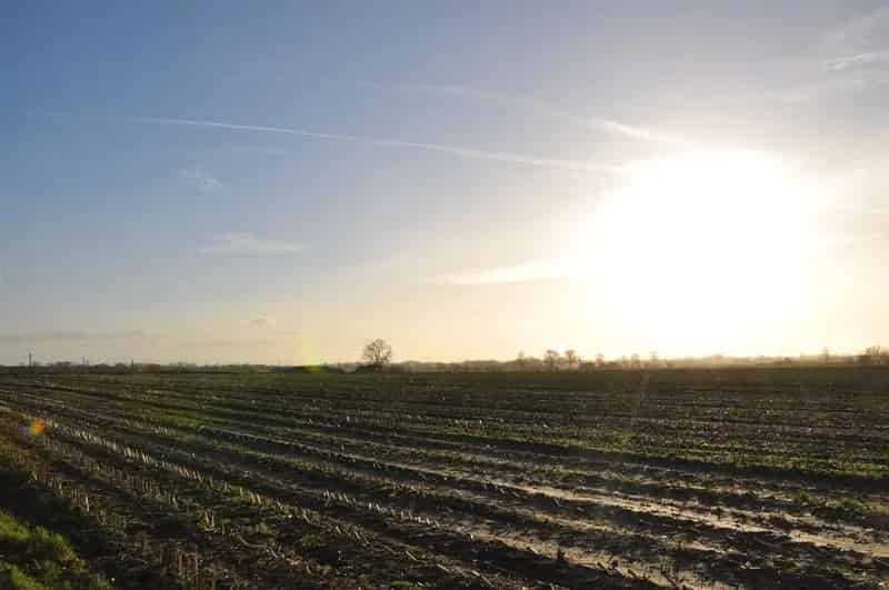 Te koop in 9800 Deinze