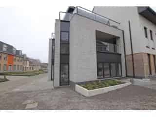 Handelspand te koop - Ottenburg RBQ10609