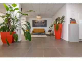 Handelspand te koop - Dendermonde RBT98457
