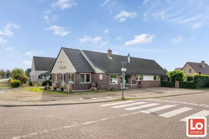 Handelspand te koop Lochristi