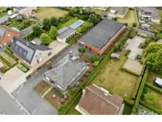Handelspand te koop - Anzegem RBU20000
