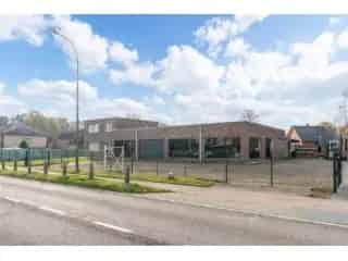 Handelspand te koop - Zonhoven RBT25453