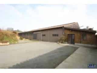 Boerderij - hoeve te koop - Frasnes-lez-Buissenal VBD09619