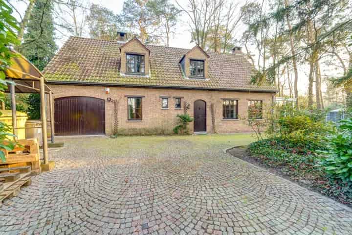 Ruime, interessante woning met 5 slpk te Boortmeerbeek Hever