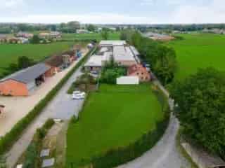 Handelspand te koop - Kasterlee RBS93434