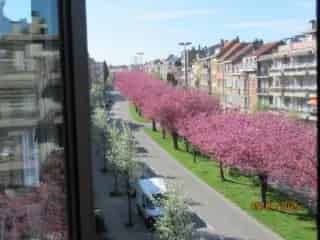 Appartement te koop - Sint-Lambrechts-Woluwe VBC71406