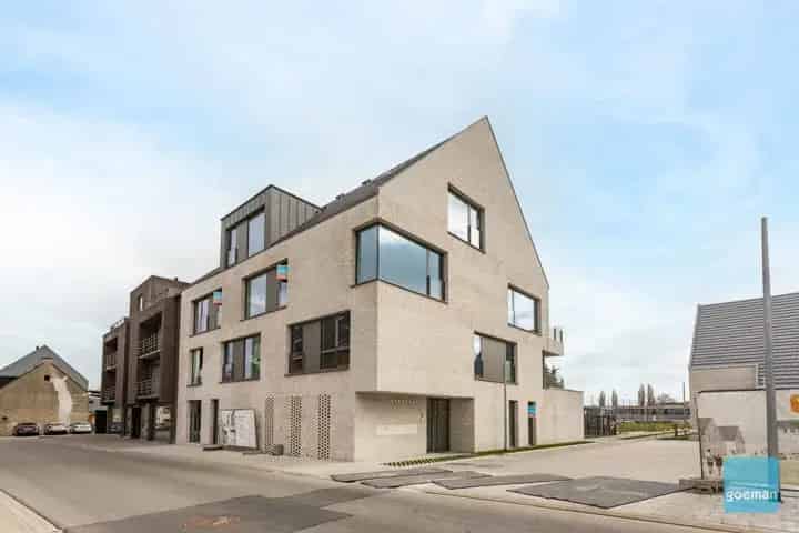 Project KAT - Lede - Appartement te koop