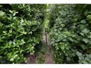 Grond te koop - Seraing VBC87894
