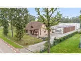 Industrie te koop - Leopoldsburg RBS71528   In optie