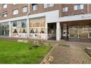 Handelspand te koop - Turnhout RBT38467